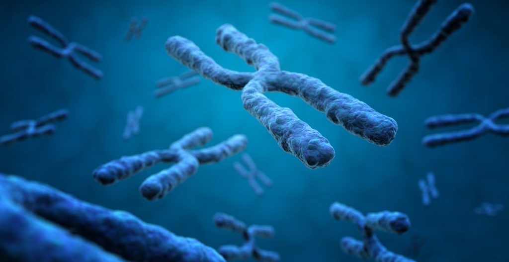 3d rendering of X chromosomes in blue background, genetics research concept.