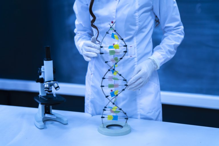 young asian professor in the university showing DNA model in classroom.
